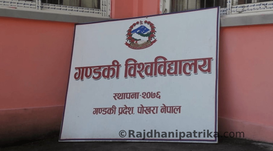 कोदोको रक्सी ब्रान्डिङ गर्दै गण्डकी विश्वविद्यालय, कसरी हुँदैछ अनुसन्धान ?