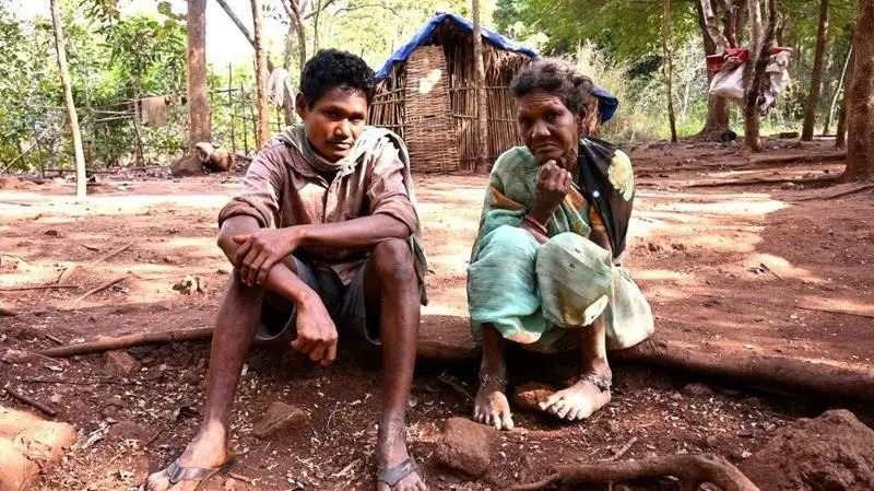 तल झारिने डरले अझै पनि एकान्त जंगलमै बस्न बाध्य परिवार